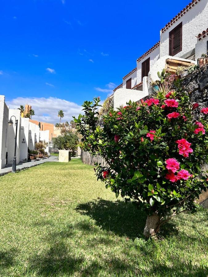 Apartment Virginia Playa de las Américas Eksteriør billede