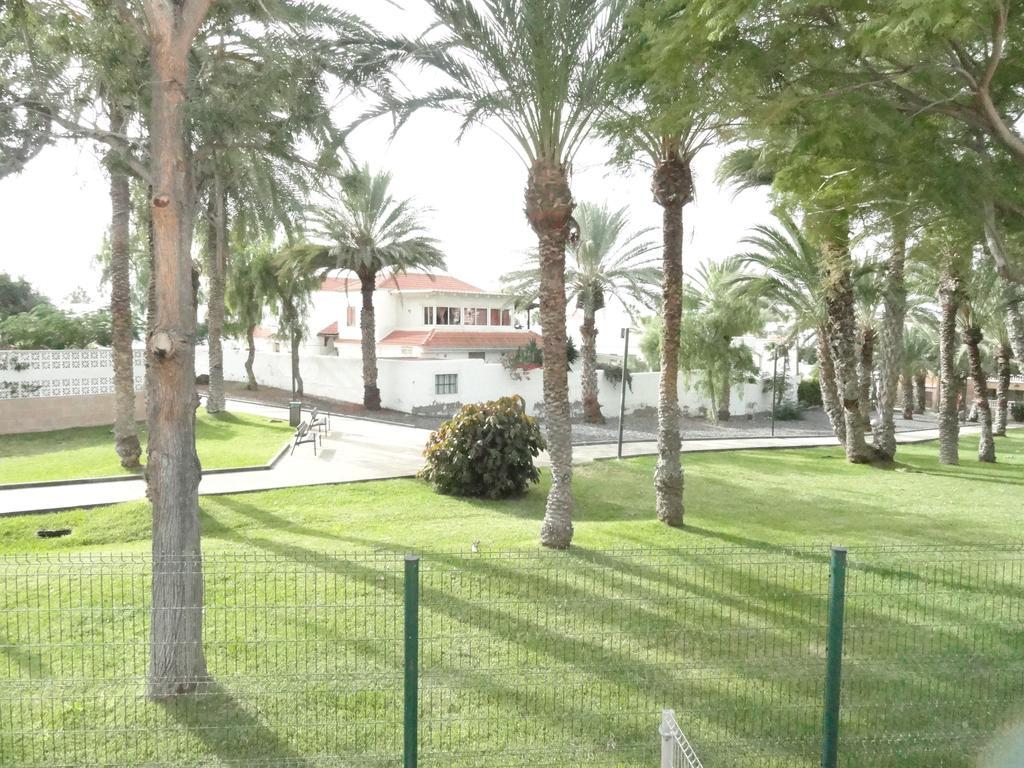Apartment Virginia Playa de las Américas Eksteriør billede